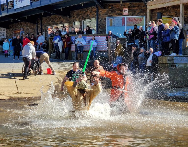 Polar Plunge 2020